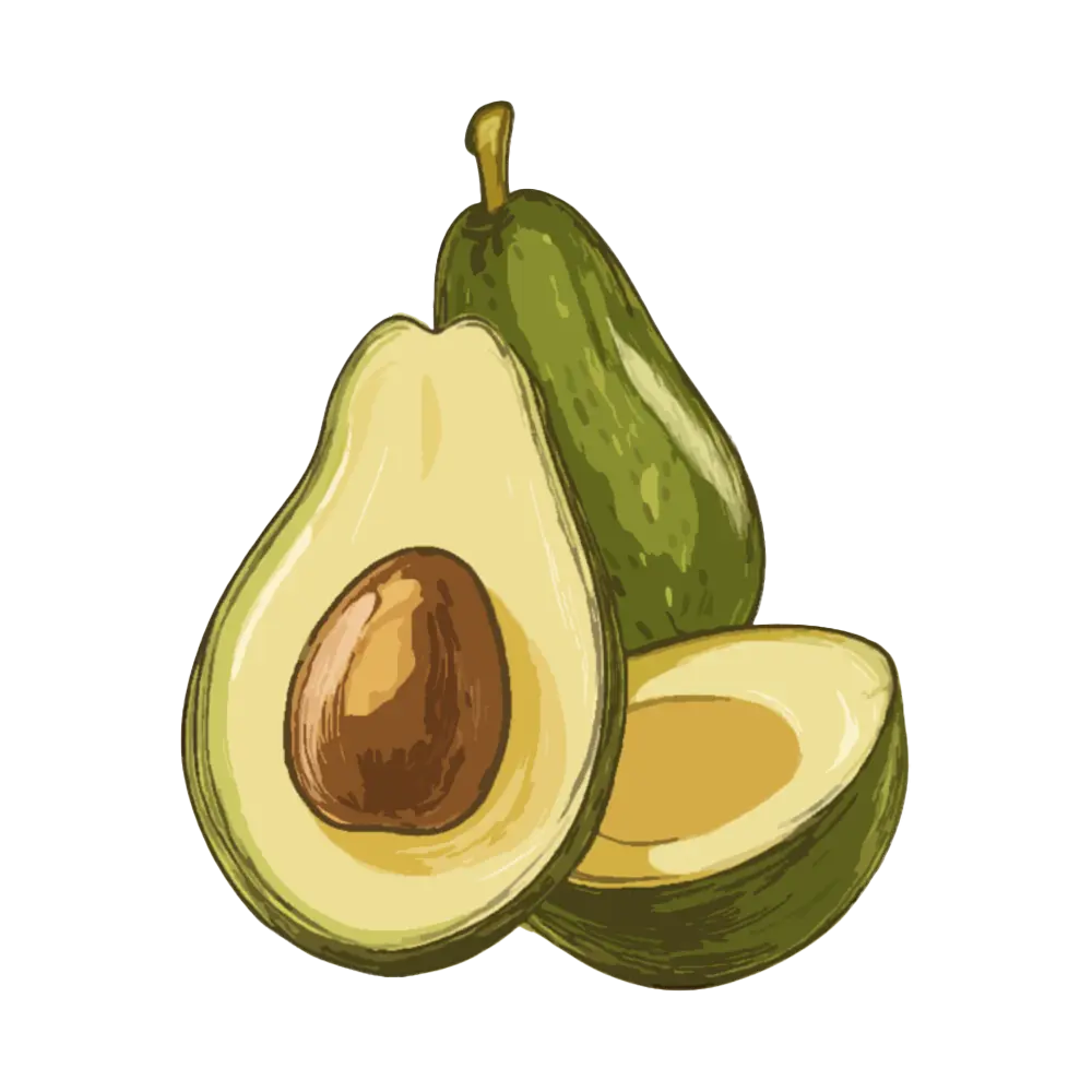 Avocado