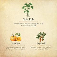 Gotu kola & Pumpkin Beard oil
