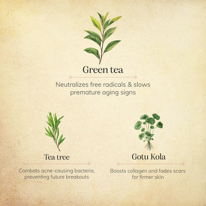 Gotu Kola & Green Tea Face Wash