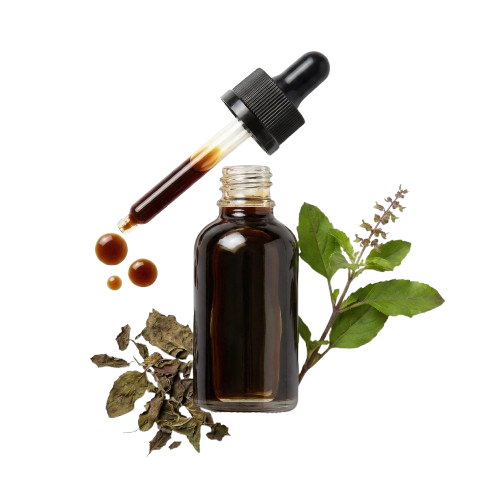 Tulsi extract