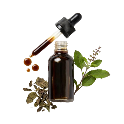 Tulsi extract