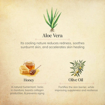 aloe vera basisch Bio Aloe Vera Direktsaft 500ml – WILD BABOON main image 1