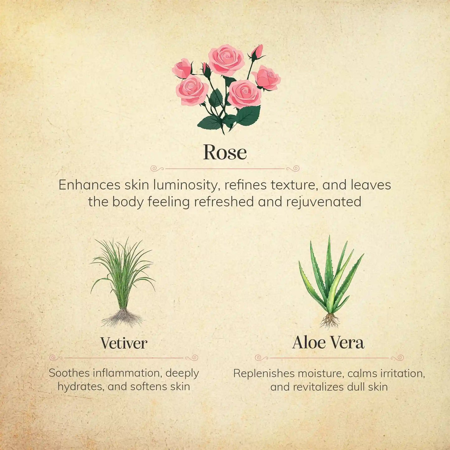 Rose & Vetiver Body Wash