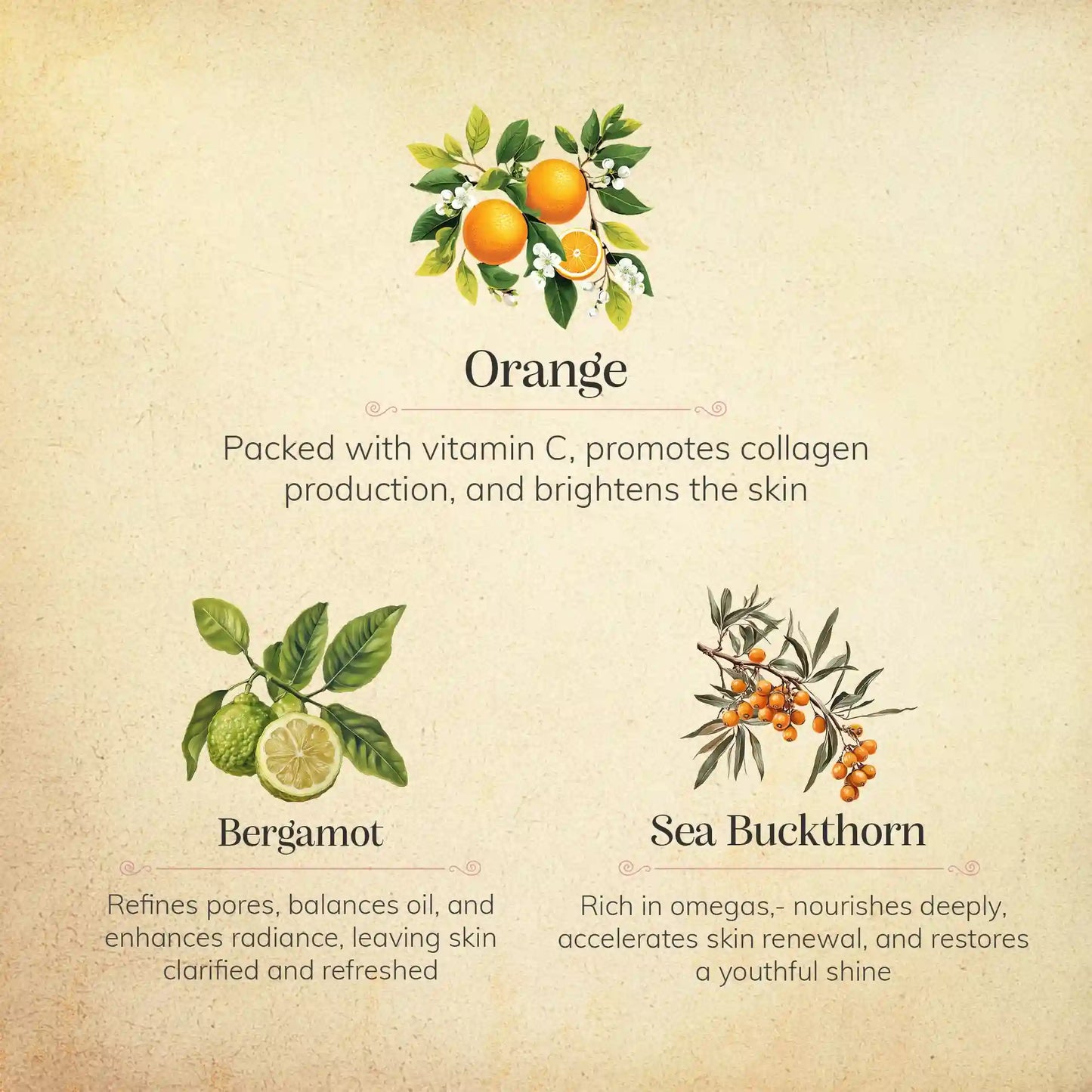 Sweet Orange & Bergamot Body Wash