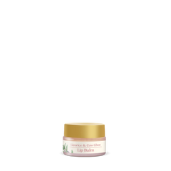 Licorice & Cow Ghee Lip Balm