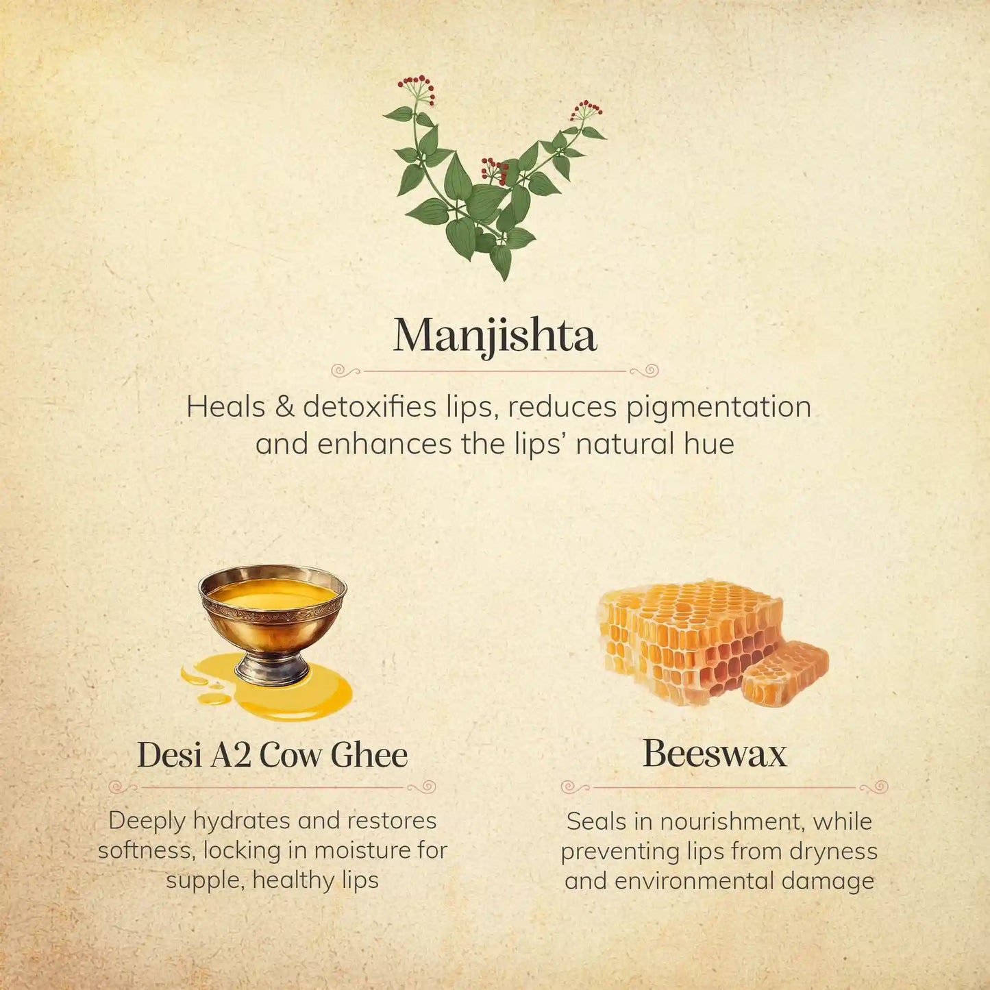 Manjishta & Cow Ghee Lip Balm