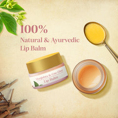 Manjishta & Cow Ghee Lip Balm