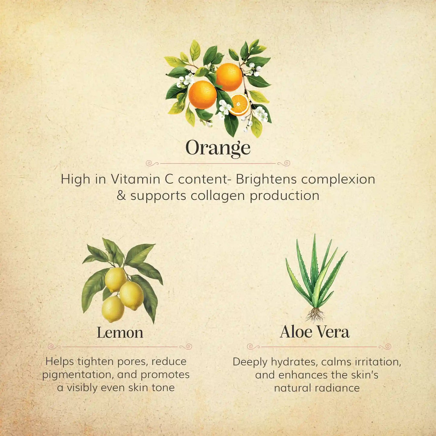 Powder Foam Cleanser Vit-C