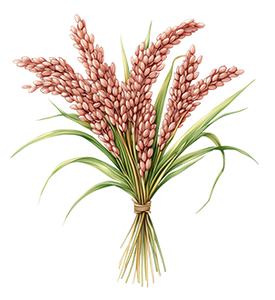Red Rice